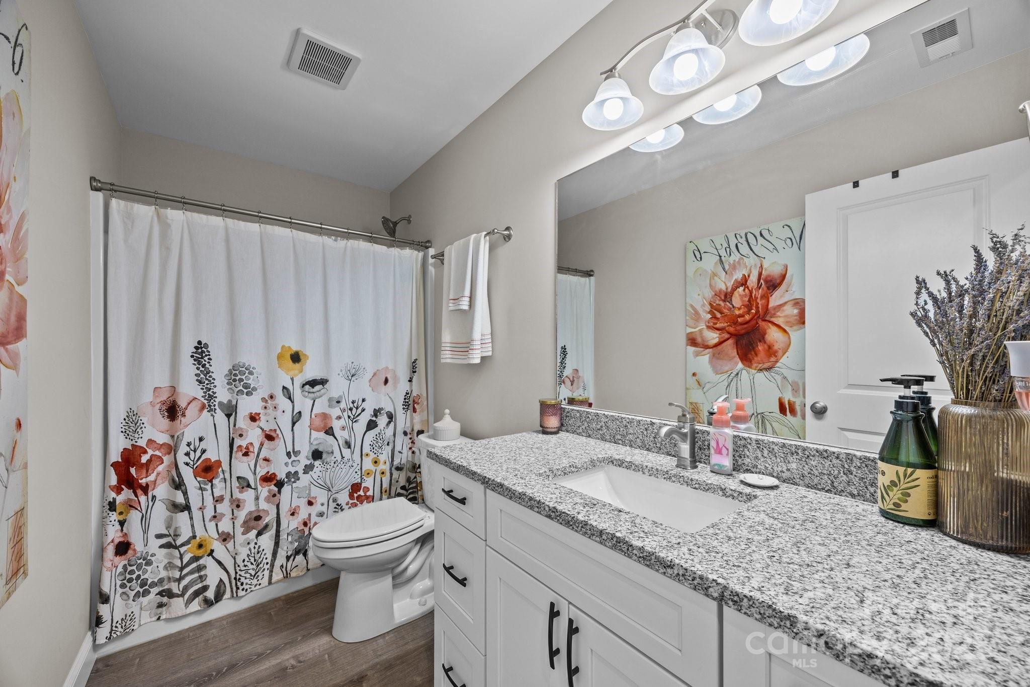 458 Summer Road Hendersonville, NC 28792 - Photo 19 of 29 a bathroom with a granite countertop sink a toilet and a large mirror