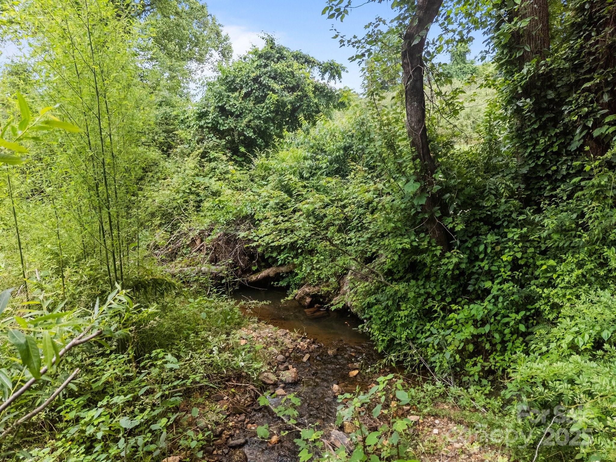 458 Summer Road Hendersonville, NC 28792 - Photo 29 of 29 a view of a lush green forest