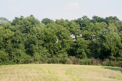 8802 East Bend Road Burlington, KY 41005 - Photo 1 of 1 Gallery Image 1