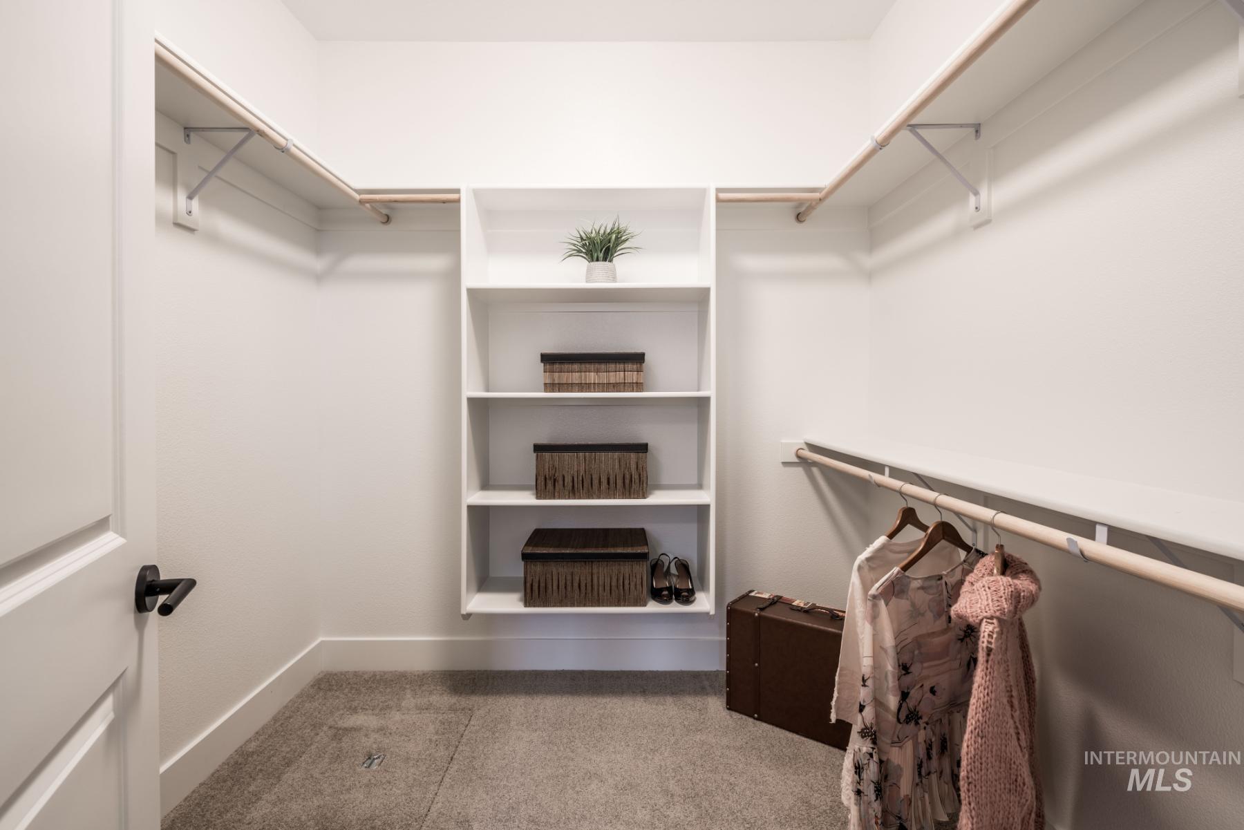 1279 West Malbar Street Meridian, ID 83646 - Photo 18 of 23 Walk in closet with carpet