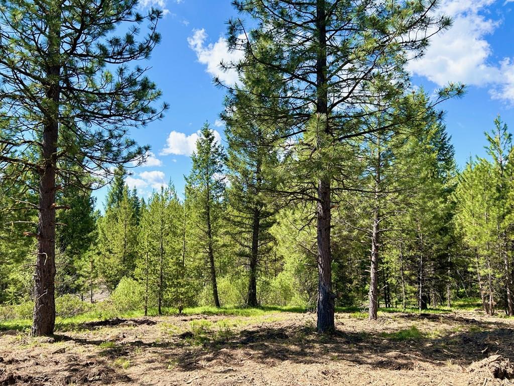Lot 21 Sawtooth Loop, Unit LOT 21 Cascade, ID 83611 - Photo 1 of 1 Main View