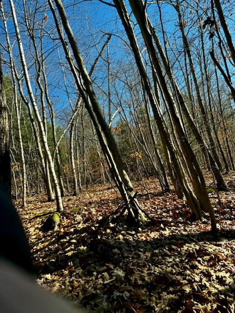 Lot # Sweden Road Bridgton, ME 04009 - Photo 2 of 3 land on sweden