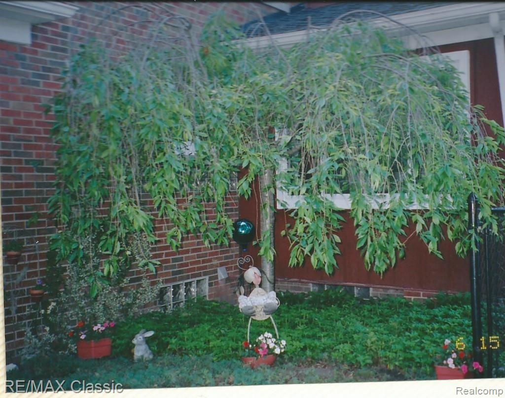 1961 Hawthorne Road Grosse Pointe, MI 48236 - Photo 27 of 27 Haw-Weeping Cherry.jpg