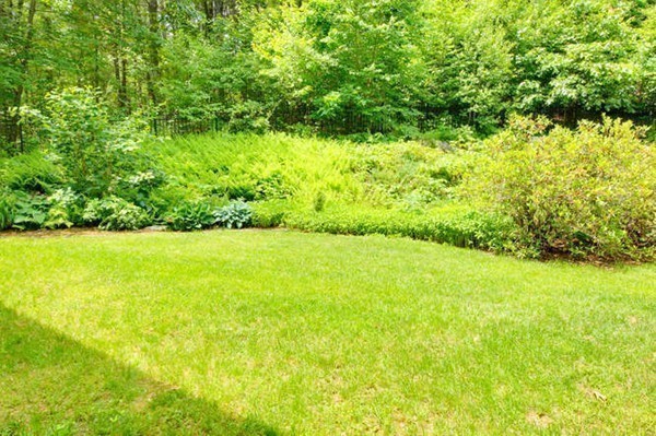 225 Littleton County Road Harvard, MA 01451 - Photo 24 of 30 a view of yard with green space