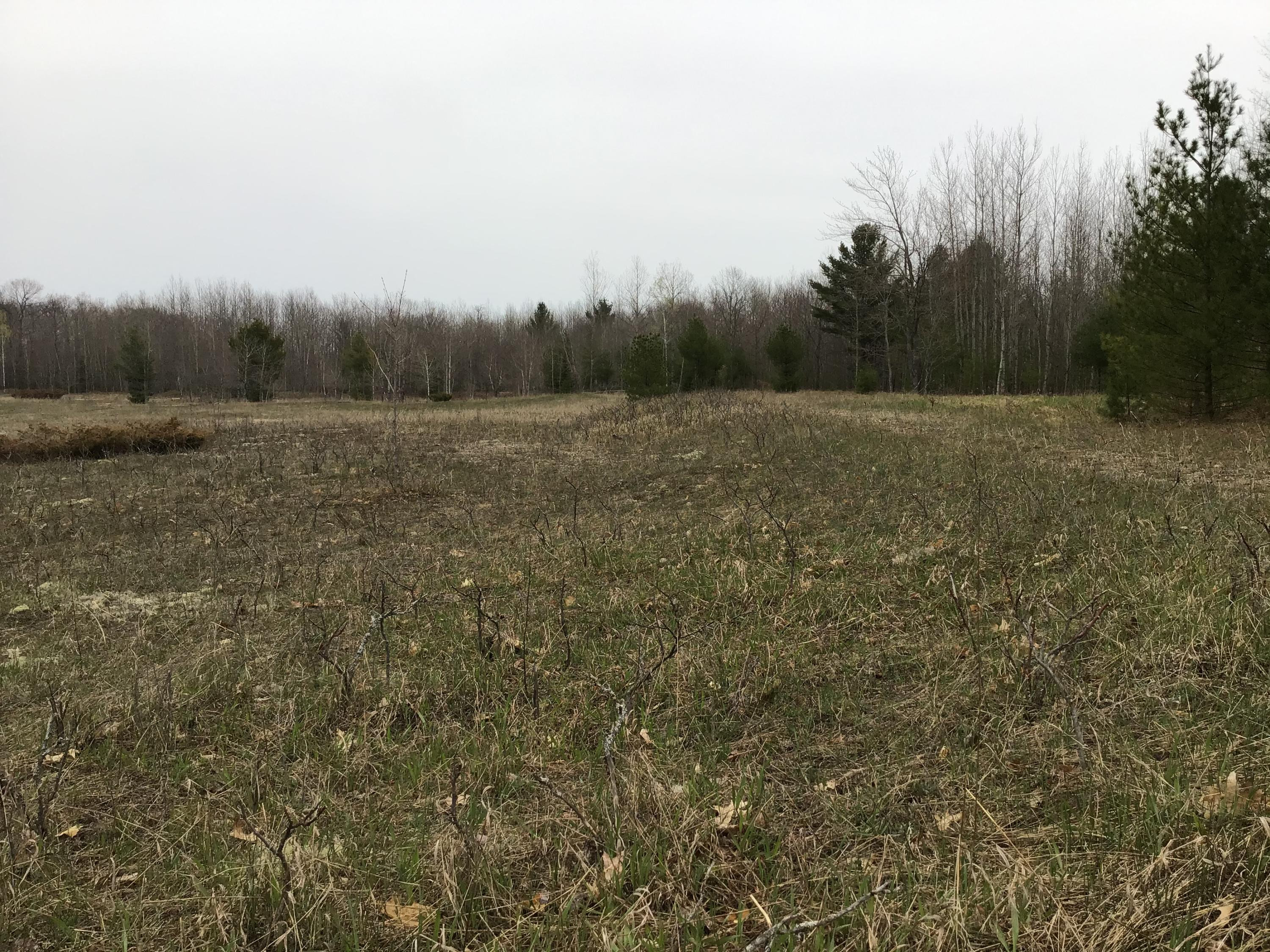 Pallister Road Cheboygan, MI 49721 - Photo 5 of 5 Gallery Image 5