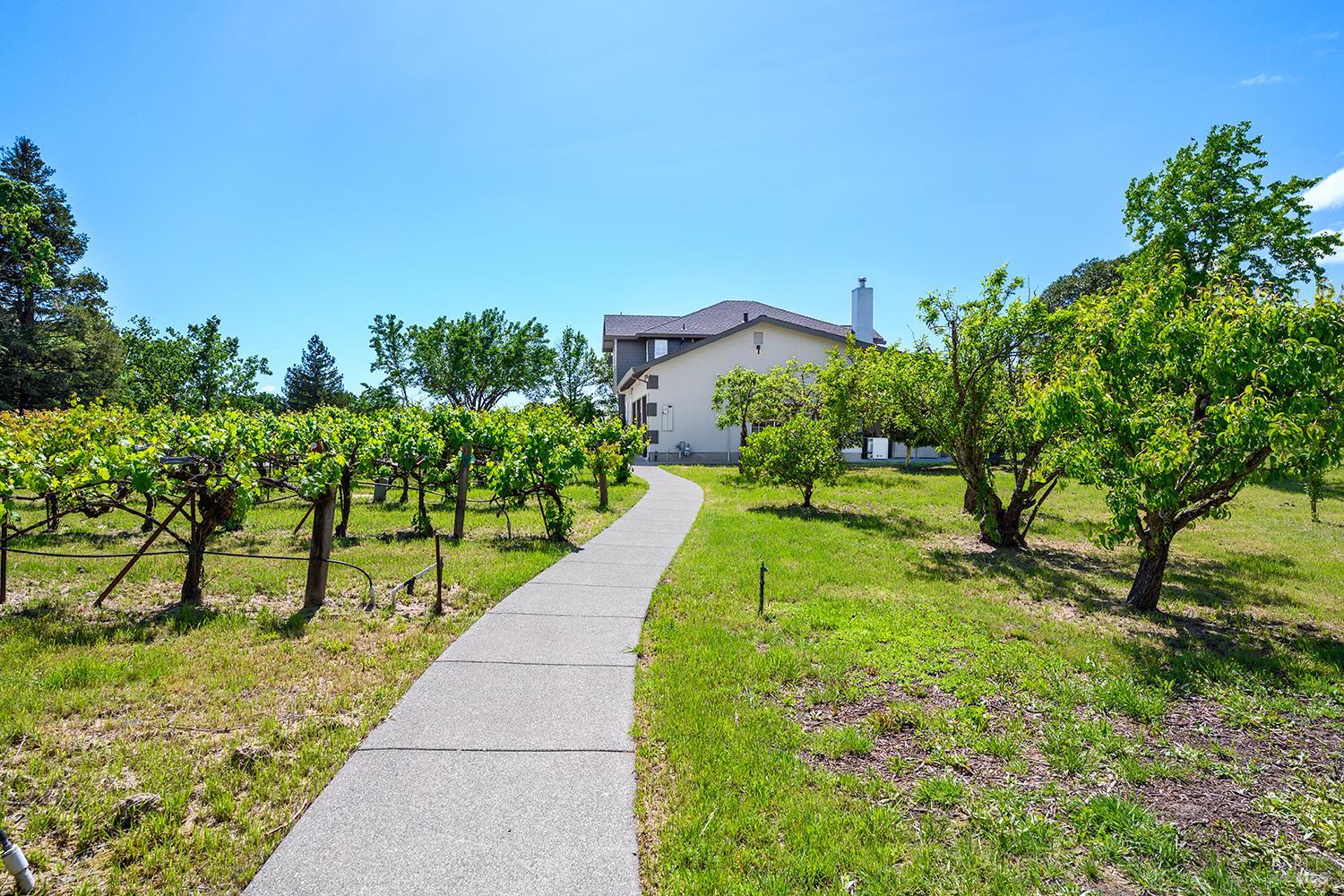 5533 Oak Meadow Drive Santa Rosa, CA 95401 - Photo 57 of 61