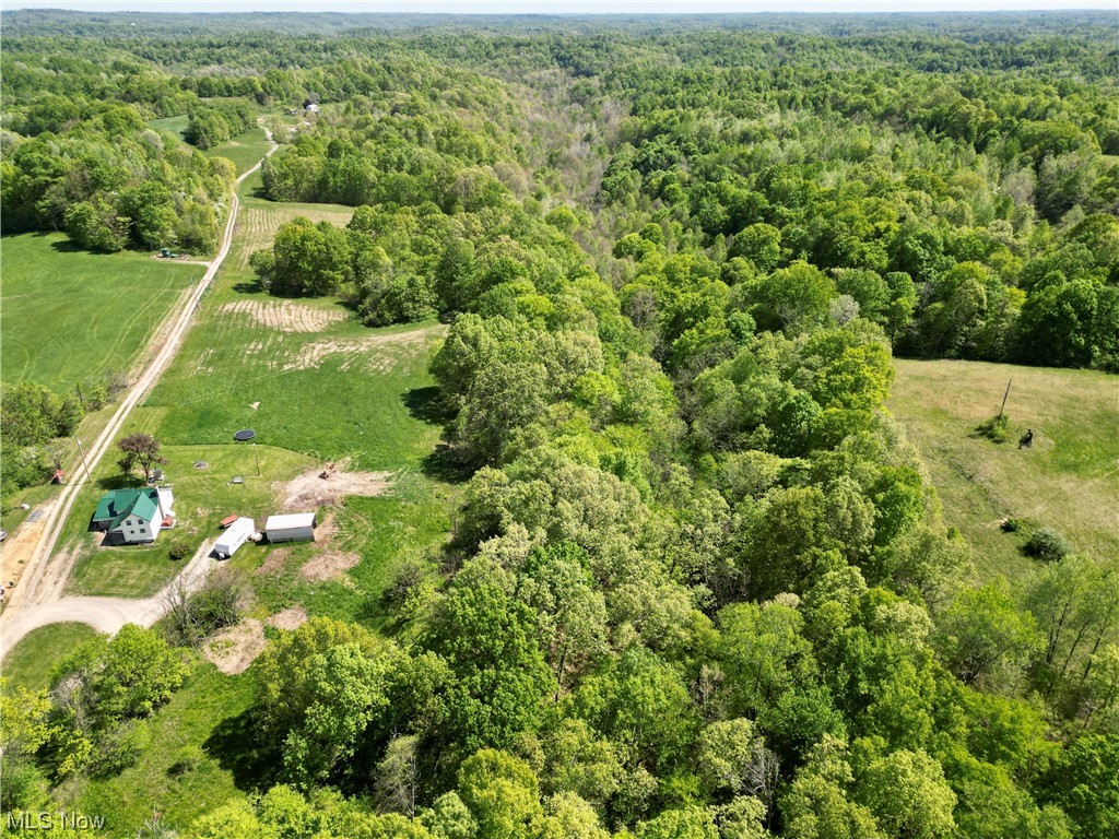 1350 Butterbean Ridge Road Philo, OH 43771 - Photo 28 of 35