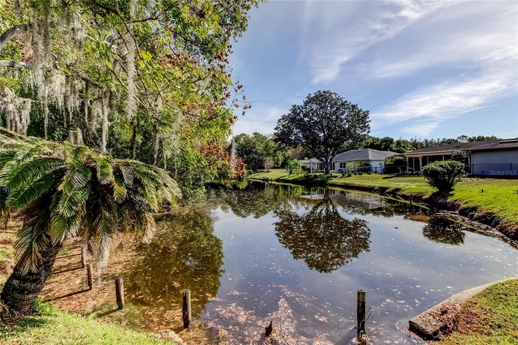 3522 Player Drive New Port Richey, FL 34655 - Photo 45 of 52 Gallery Image 45