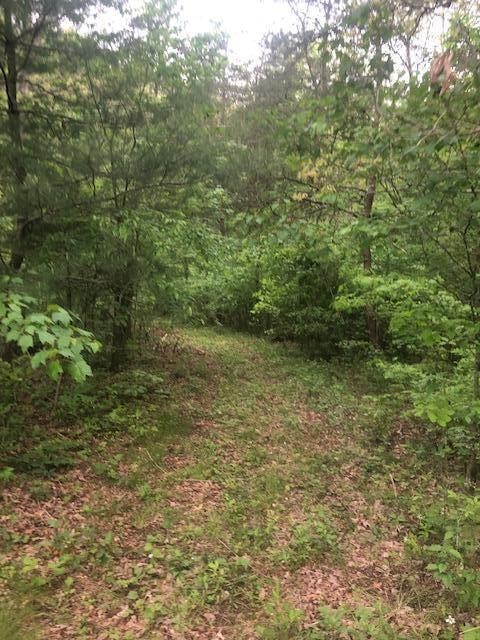 887 Swicegood Road Crossville, TN 38571 - Photo 16 of 19