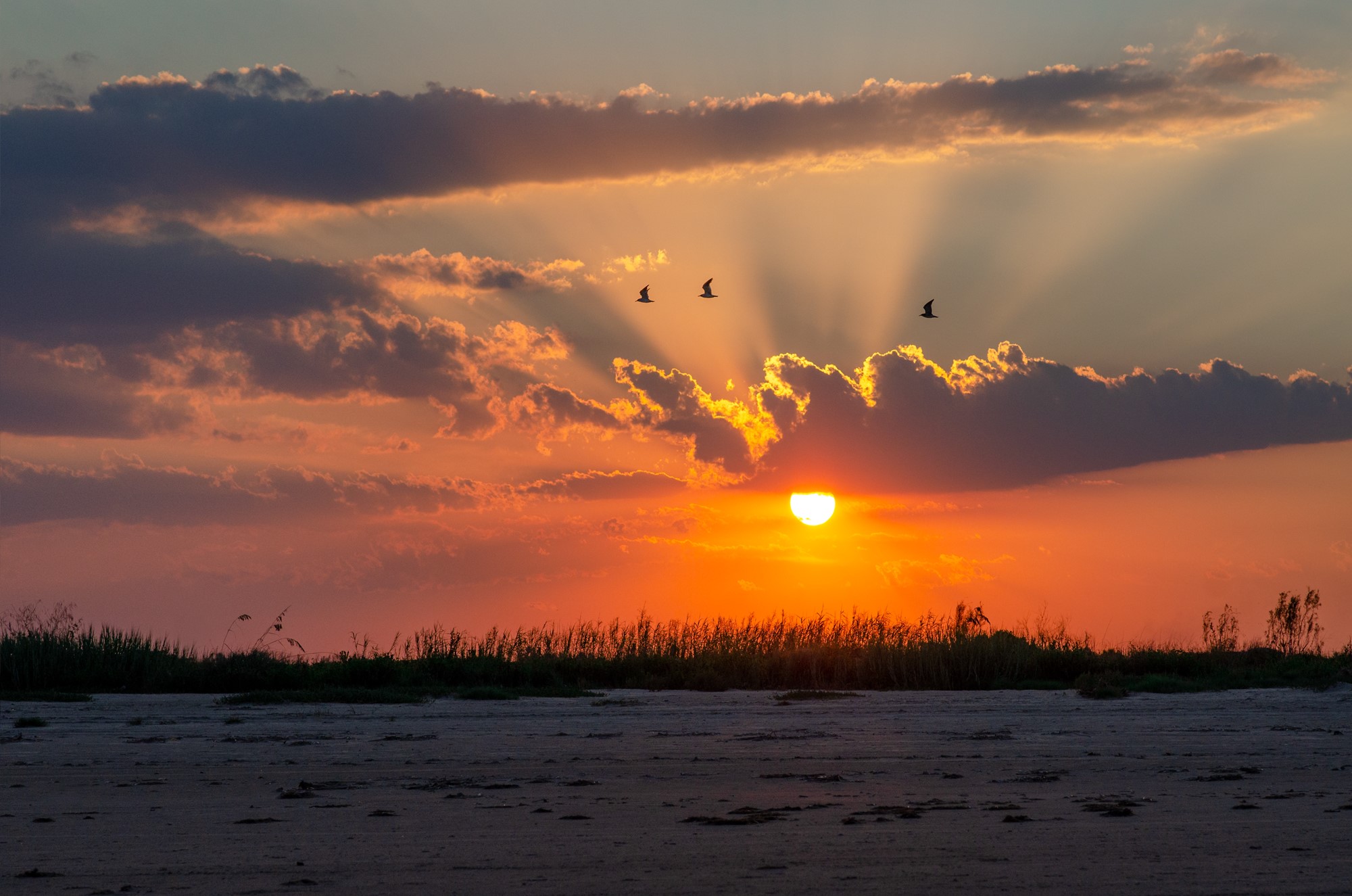 1110 Gulfview Road Port Bolivar, TX 77650 - Photo 9 of 9