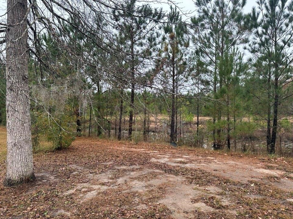 73 Tondee Way Midway, GA 31320 - Photo 21 of 21