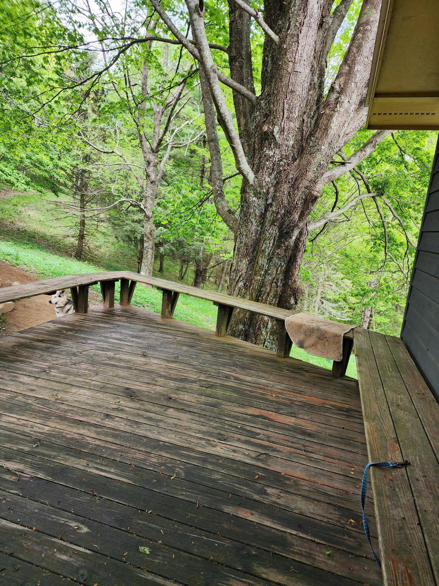 943 Greer Road Mountain City, TN 37683 - Photo 22 of 76 20230513_142741