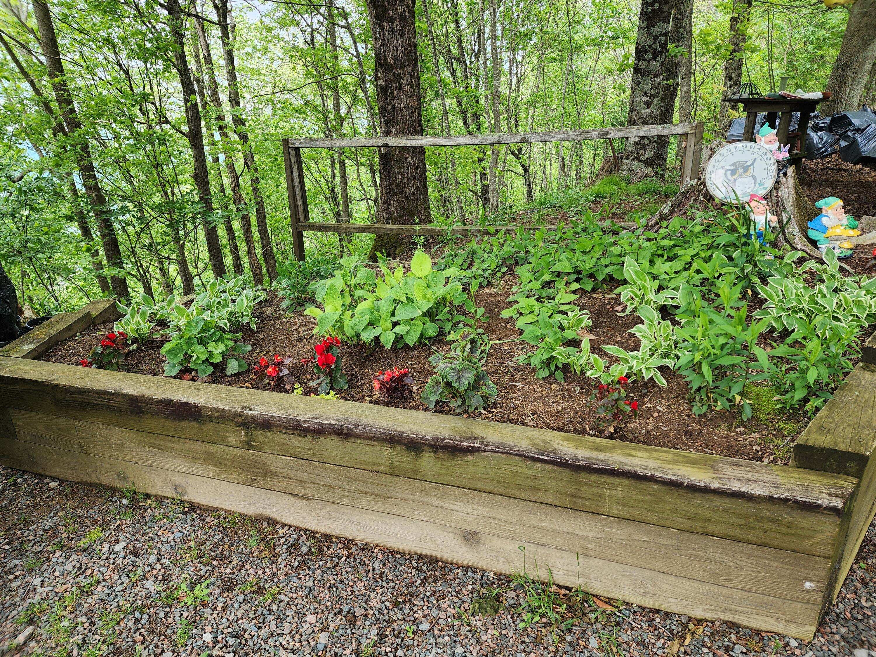 943 Greer Road Mountain City, TN 37683 - Photo 24 of 76 20230513_142818