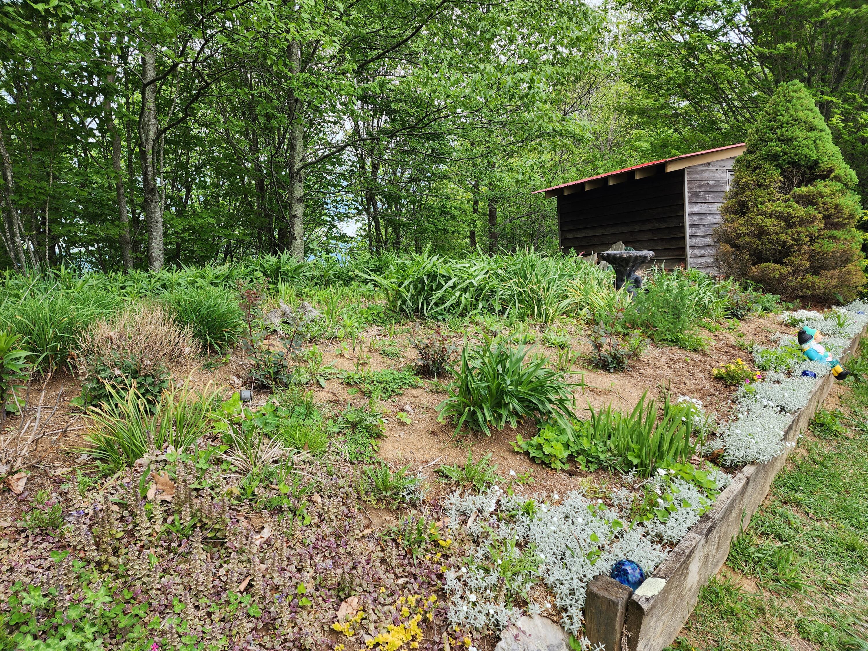 943 Greer Road Mountain City, TN 37683 - Photo 65 of 76 20230513_142931