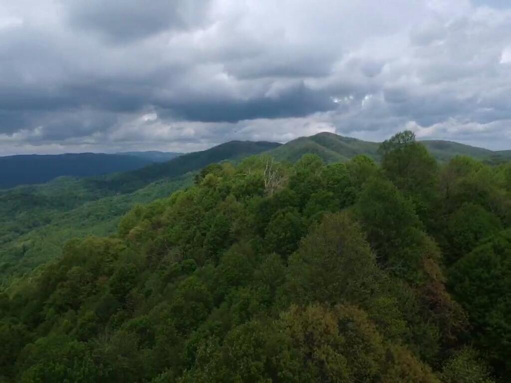 943 Greer Road Mountain City, TN 37683 - Photo 68 of 76 IMG_4609