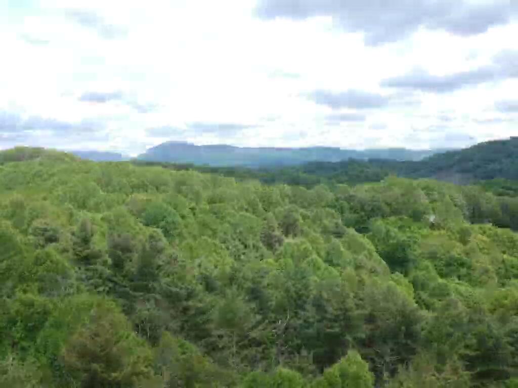 943 Greer Road Mountain City, TN 37683 - Photo 69 of 76 IMG_4608