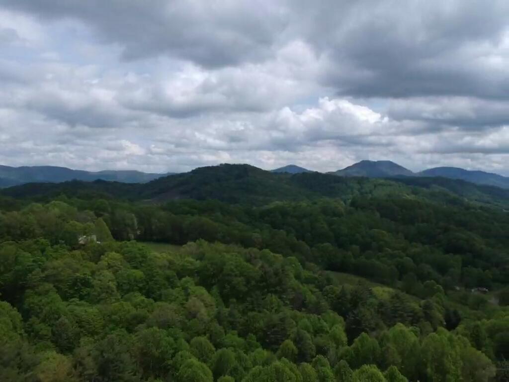 943 Greer Road Mountain City, TN 37683 - Photo 74 of 76 IMG_4603