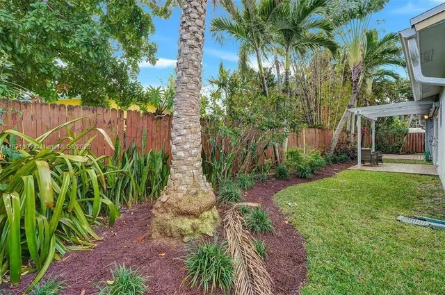 a view of a backyard with plants