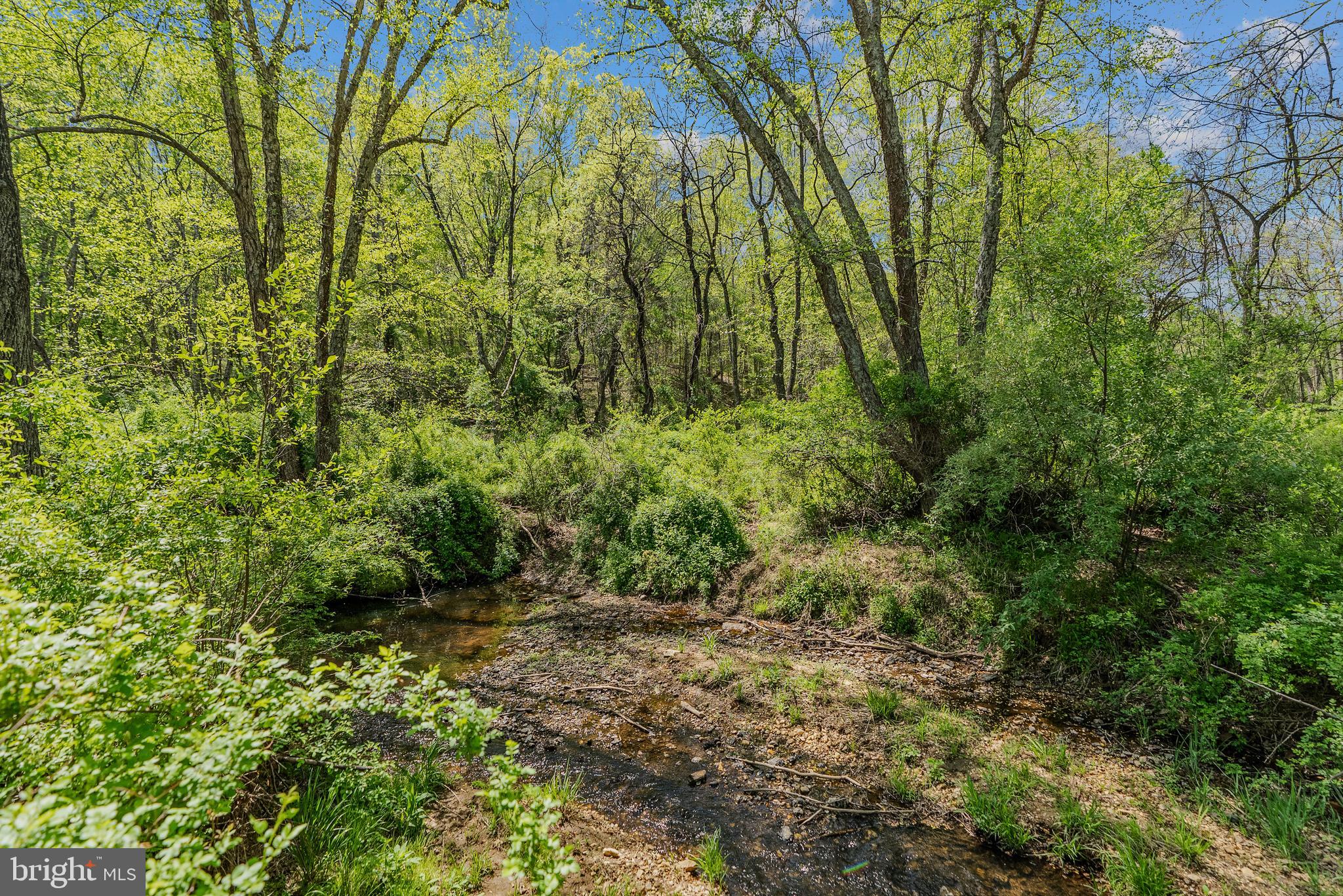 8396 Rixeyville Road Rixeyville, VA 22737 - Photo 47 of 71