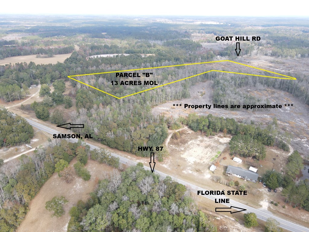 13-acres Goat Hill Road Samson, AL 36477 - Photo 4 of 19