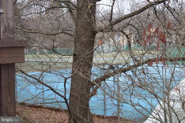 a view of a yard from a tree