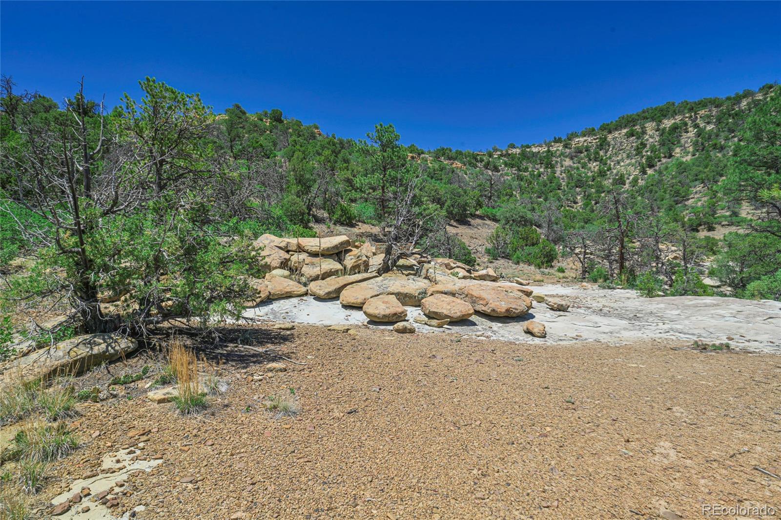Fishers Peak Ranch Trinidad, CO 81082 - Photo 6 of 32