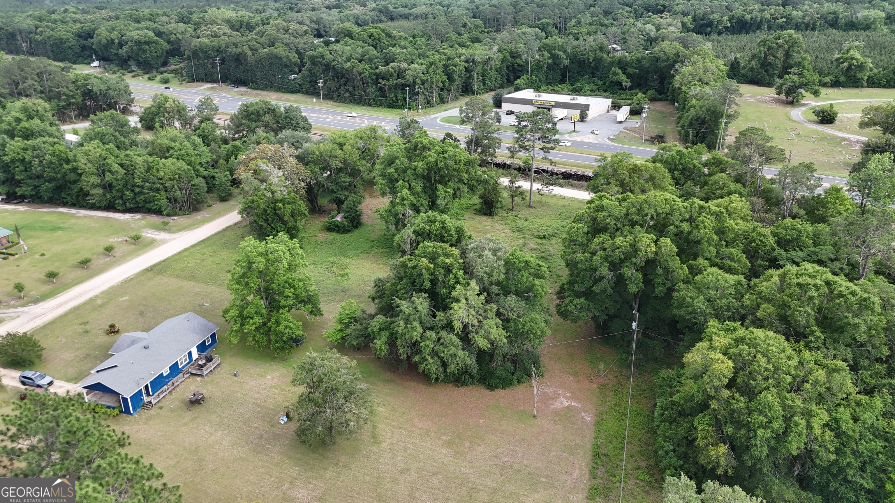 92-acre Butler Street Bainbridge, GA 39817 - Photo 12 of 13