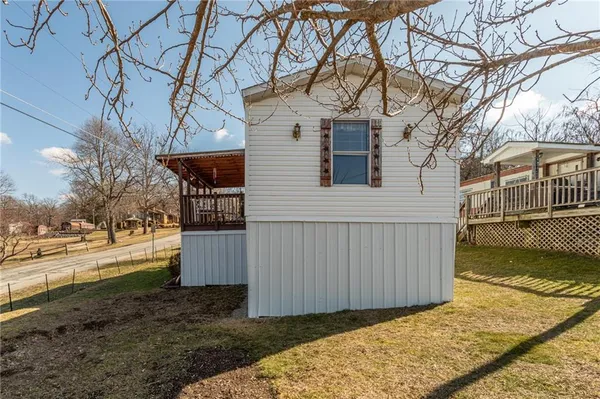 a view of a backyard with a large tree