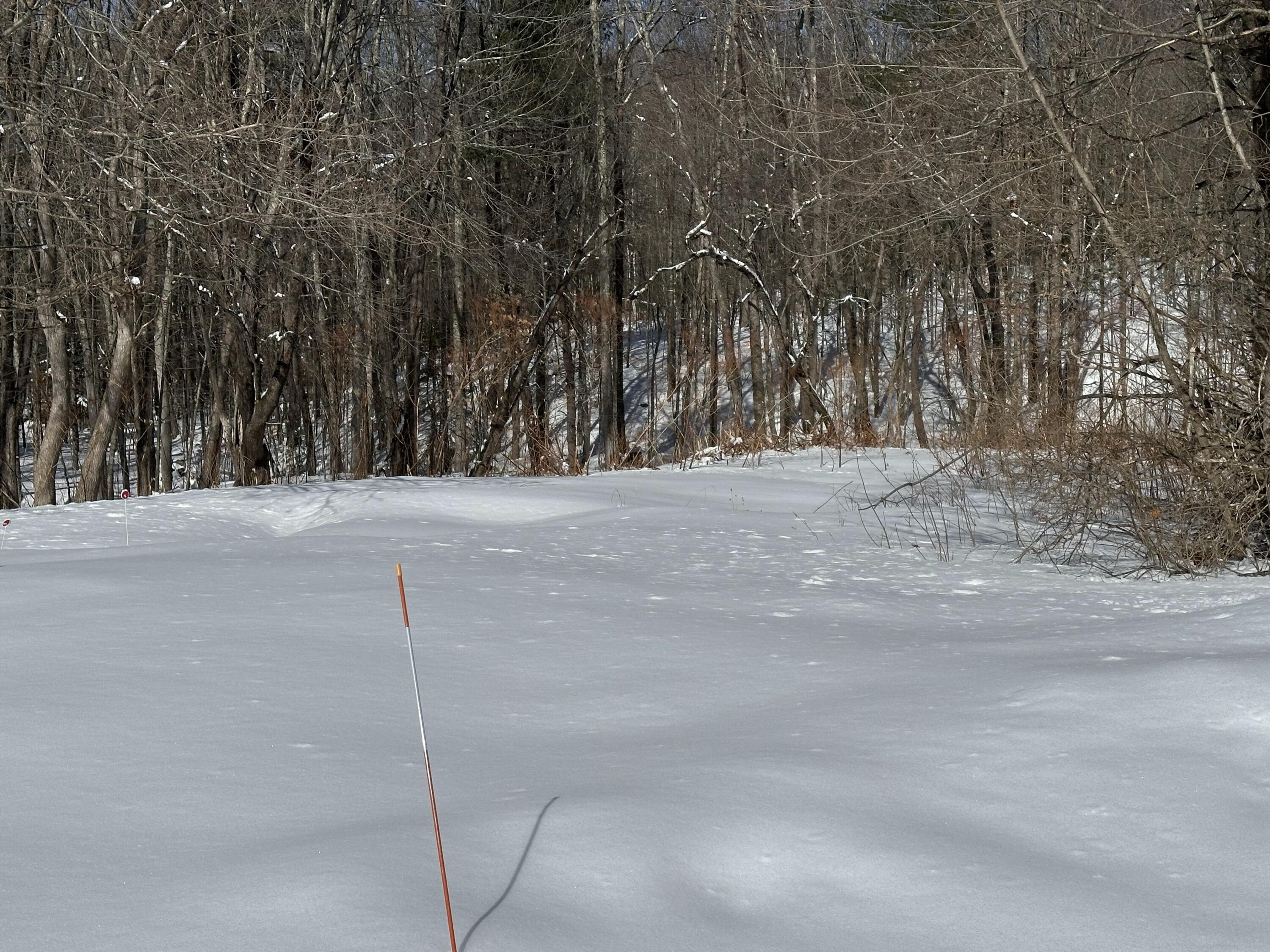 25 Yarmouth Road Gray, ME 04039 - Photo 61 of 64 IMG_8386