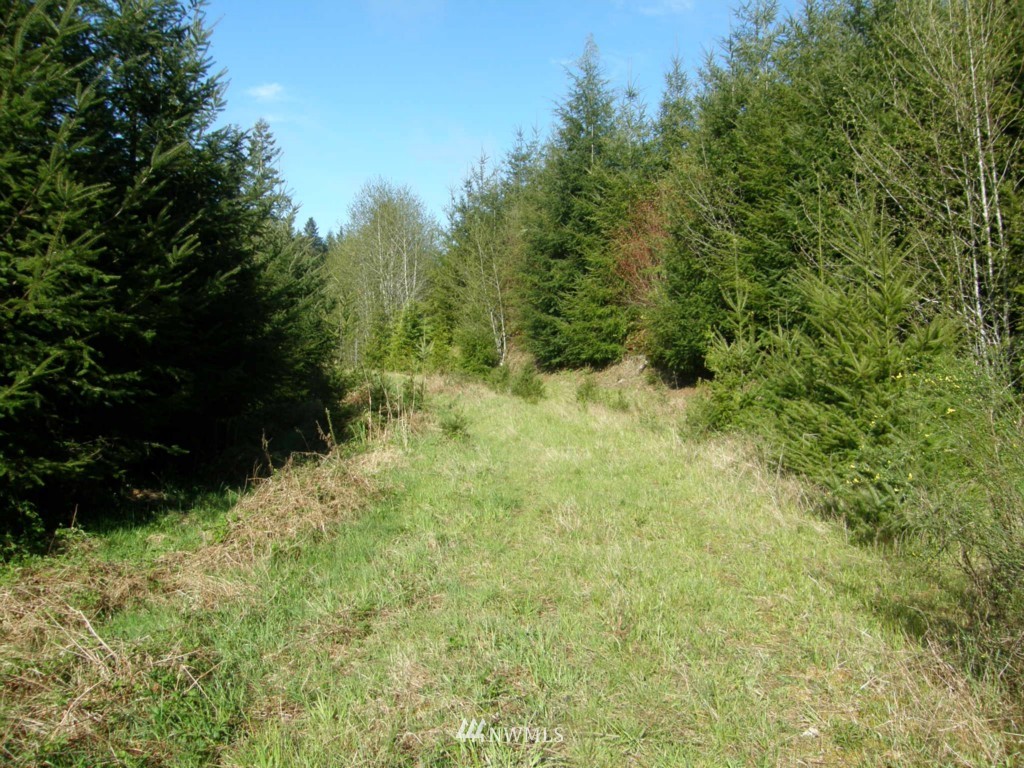 475 Stamper Road Elma, WA 98541 - Photo 1 of 14 Gallery Image 1