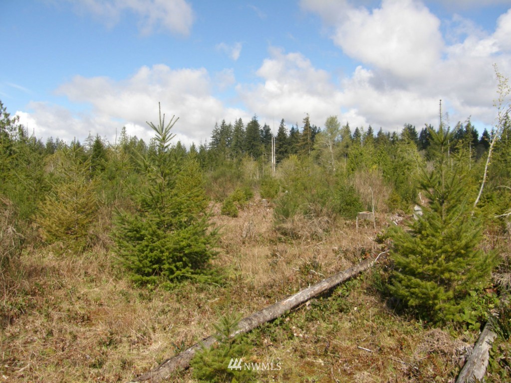 475 Stamper Road Elma, WA 98541 - Photo 11 of 14 Gallery Image 11