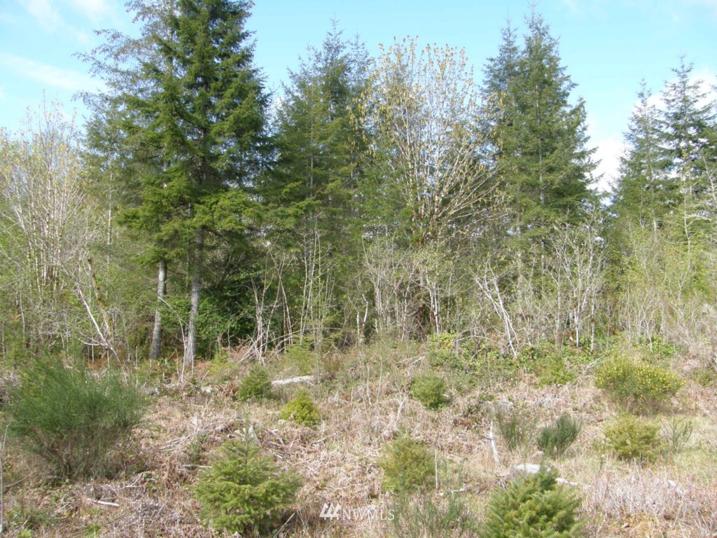 475 Stamper Road Elma, WA 98541 - Photo 13 of 14 Gallery Image 13