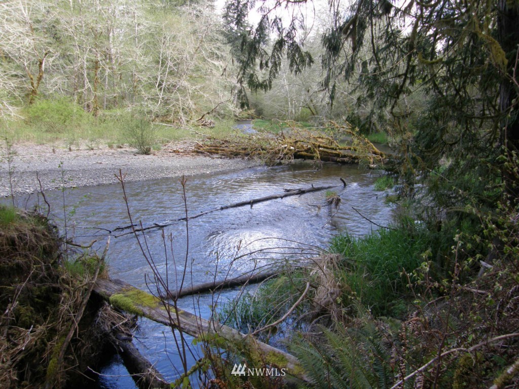 475 Stamper Road Elma, WA 98541 - Photo 3 of 14 Gallery Image 3