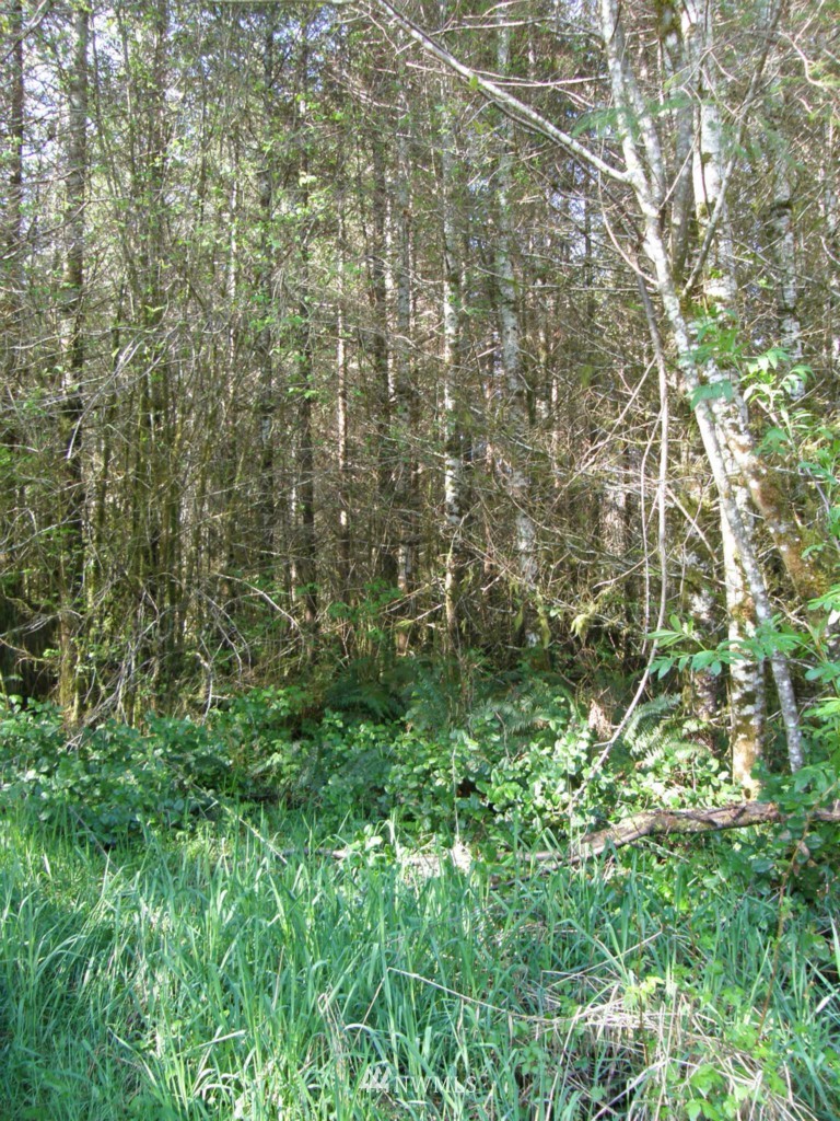 475 Stamper Road Elma, WA 98541 - Photo 4 of 14 Gallery Image 4