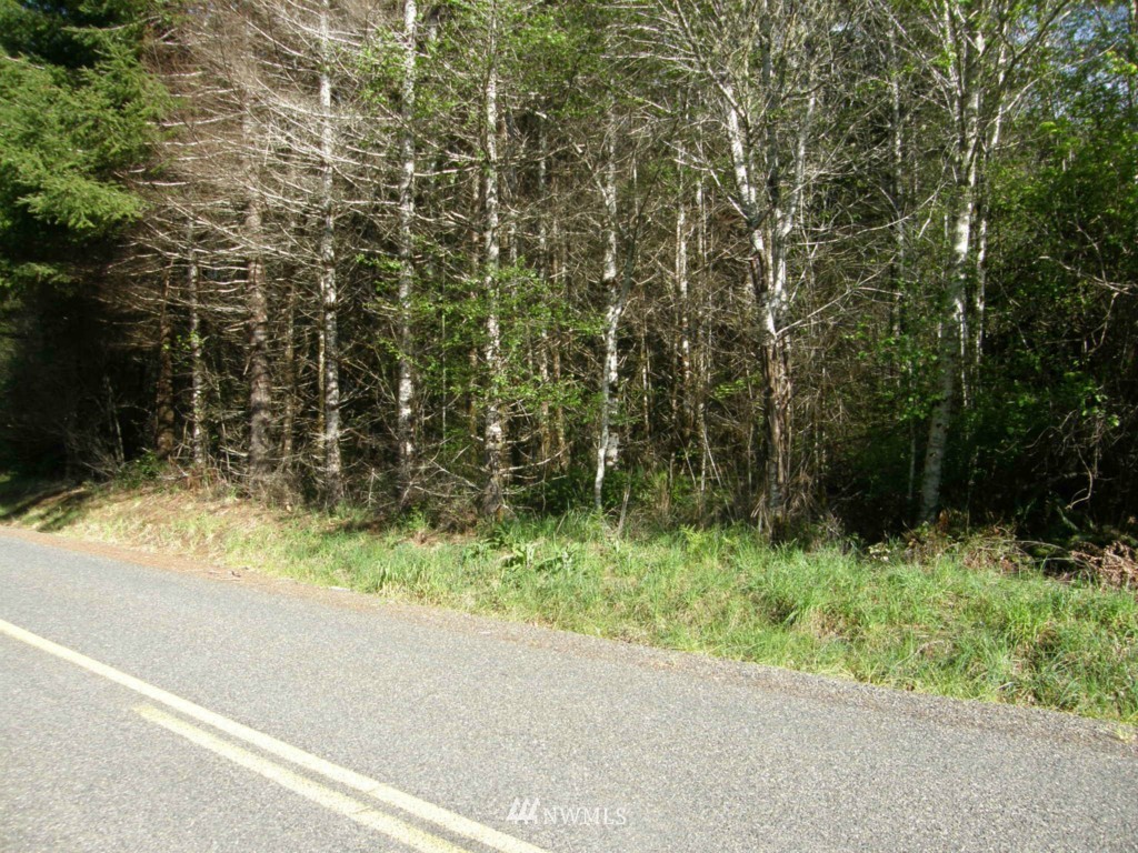 475 Stamper Road Elma, WA 98541 - Photo 8 of 14 Gallery Image 8