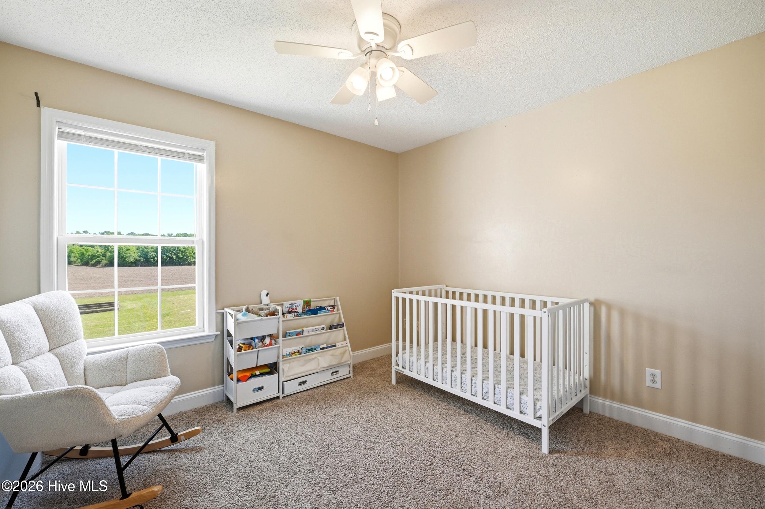 380 Swinson Road Maple Hill, NC 28454 - Photo 16 of 56 Bedroom 3