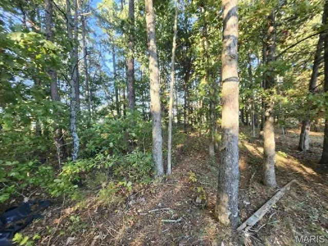 $325,000 | 5315 Hwy M, Mountain Grove, MO 65711