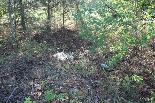 $325,000 | 5315 Hwy M, Mountain Grove, MO 65711