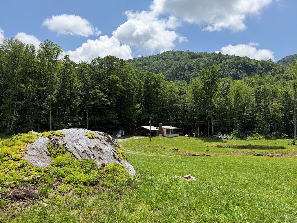 1446 Muskrat Creek Road Hayesville, NC 28904 - Photo 96 of 108