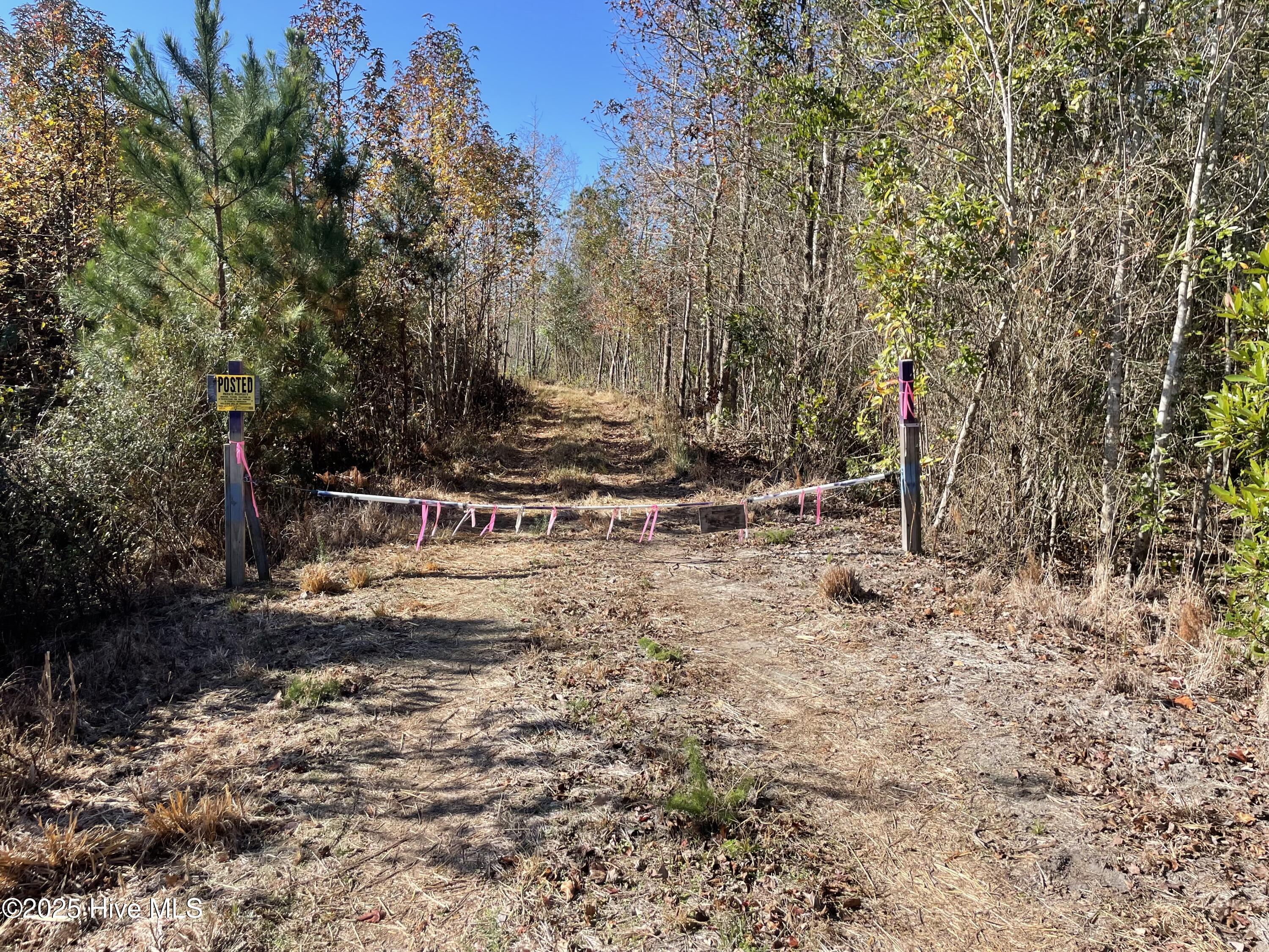 7399 Burney Road White Oak, NC 28399 - Photo 5 of 7 Burney 6