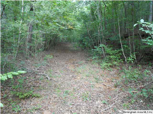Meherg Road, Unit 28 Rockford, AL 35136 - Photo 9 of 25