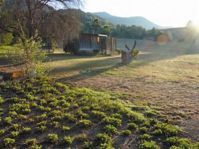 1416 Daly Road Ojai, CA 93023 - Photo 5 of 10 Gallery Image 5