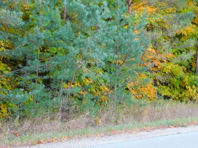 North Sharon Road Kalkaska, MI 49646 - Photo 9 of 9 Gallery Image 9