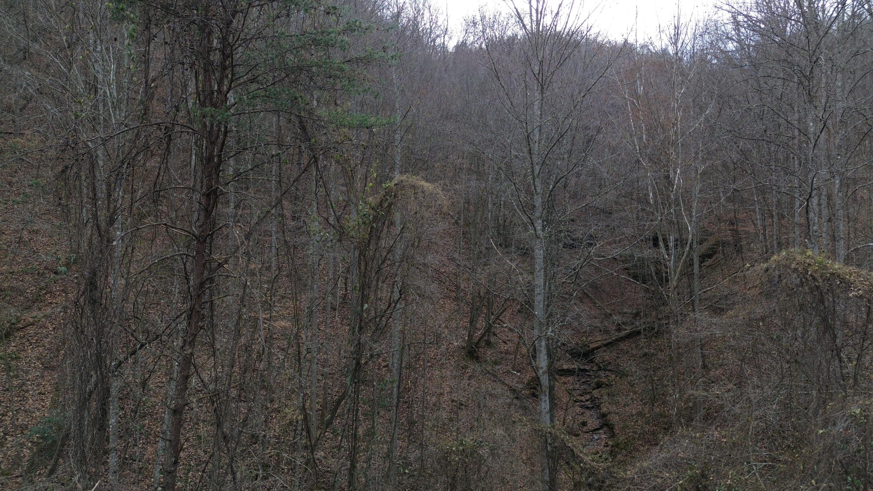 9999 Little Wildcat Creek Road Manchester, KY 40962 - Photo 18 of 18 LWCC
