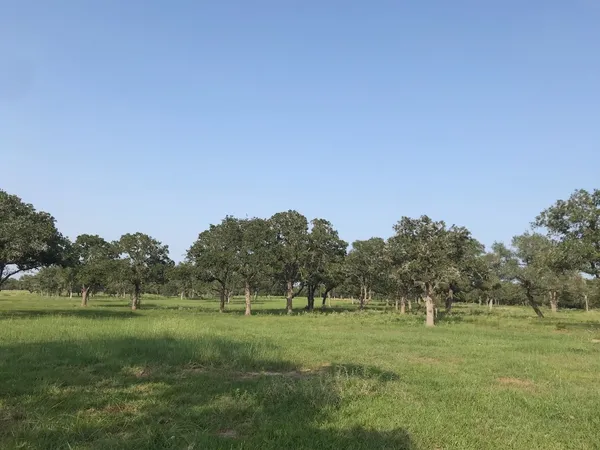 $1,385,555 | 10080 Fm 682, Cuero, TX 77954