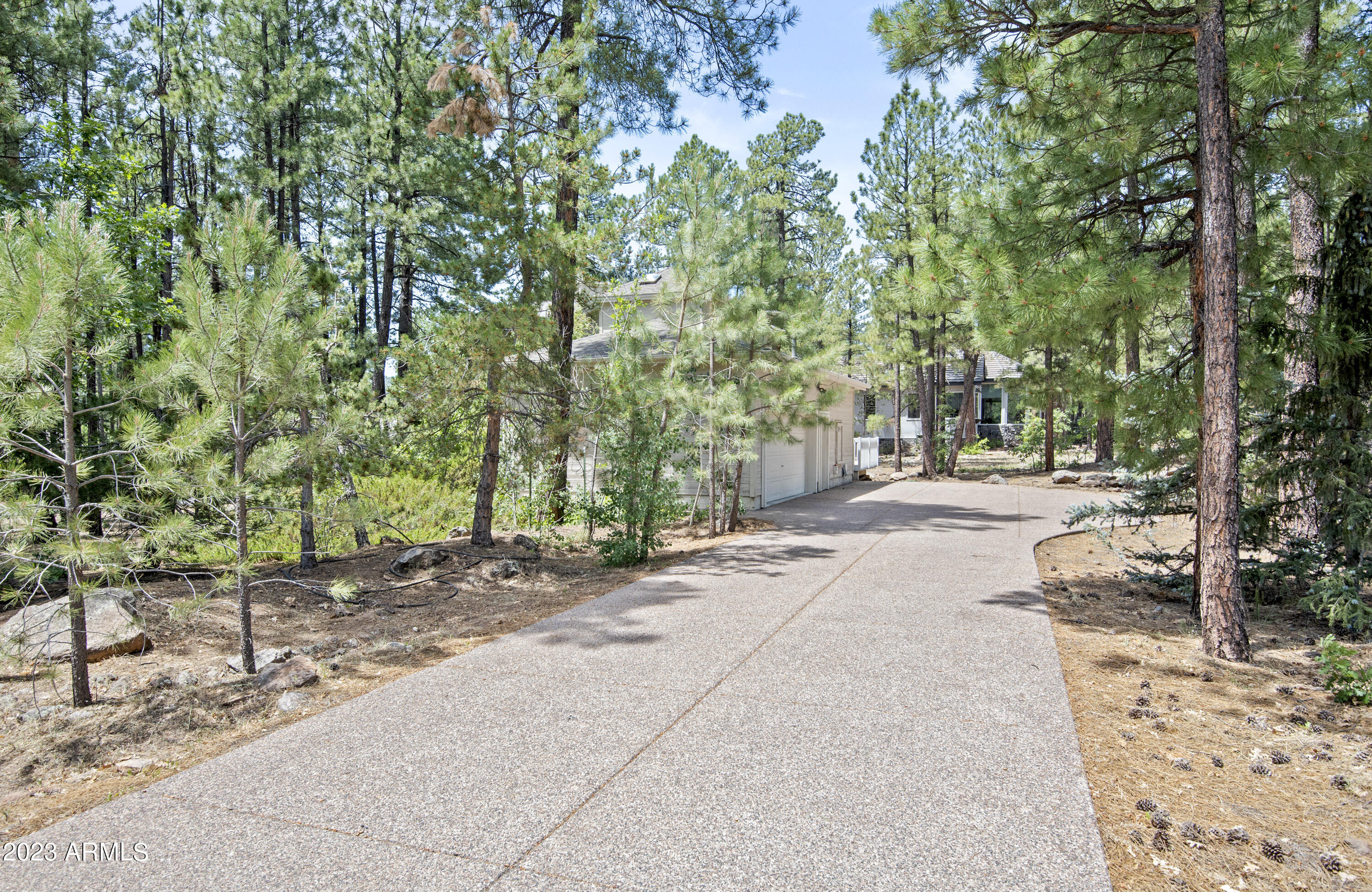 4265 Griffiths Spring Flagstaff, AZ 86005 - Photo 3 of 50 DSC_1193