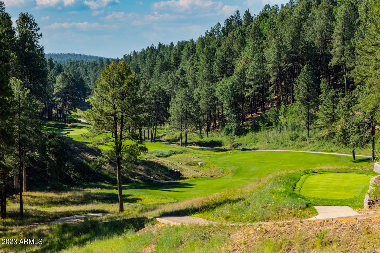 4265 Griffiths Spring Flagstaff, AZ 86005 - Photo 35 of 50 Canyon #9-2