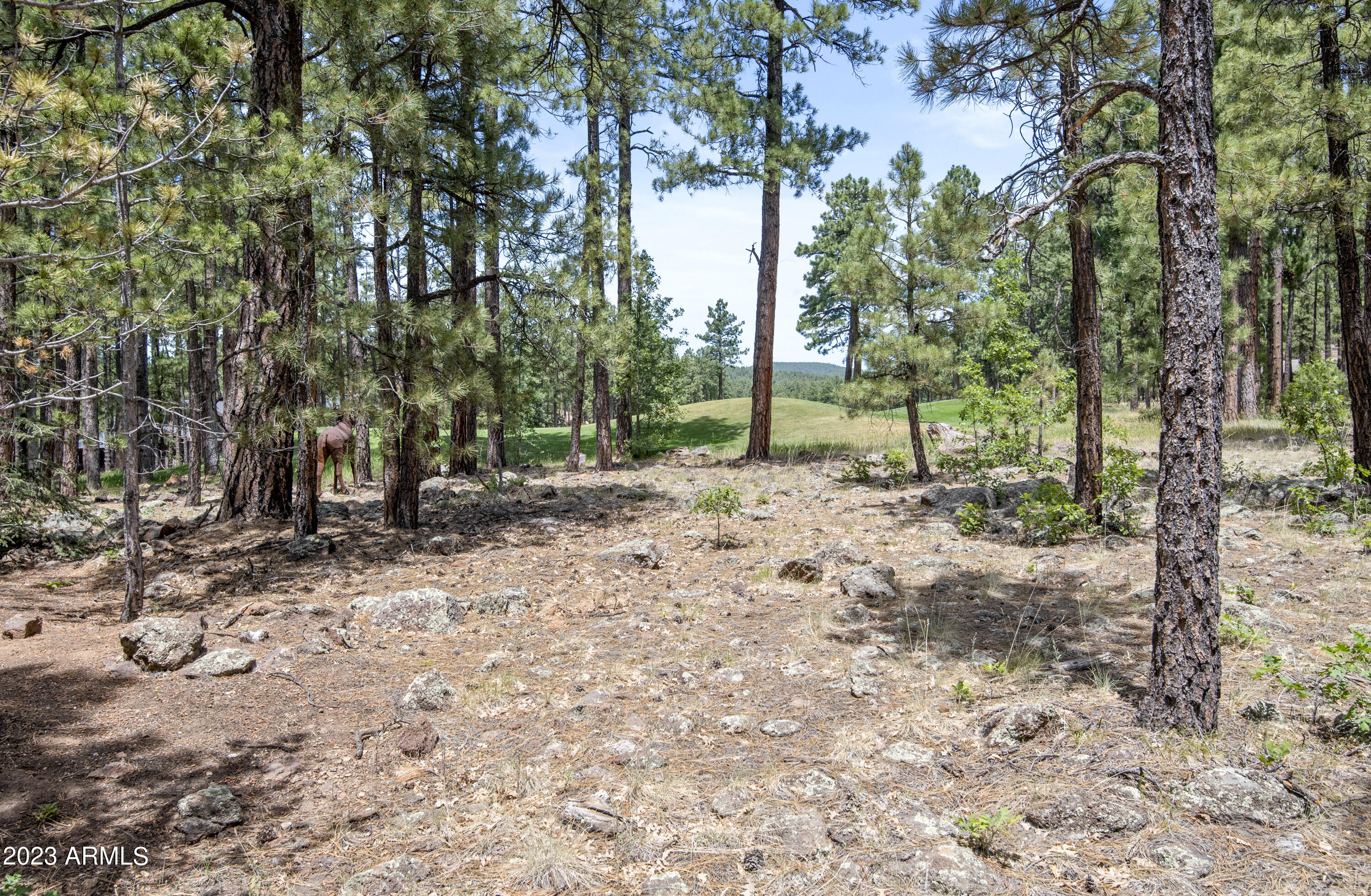 4265 Griffiths Spring Flagstaff, AZ 86005 - Photo 48 of 50 DSC_1197