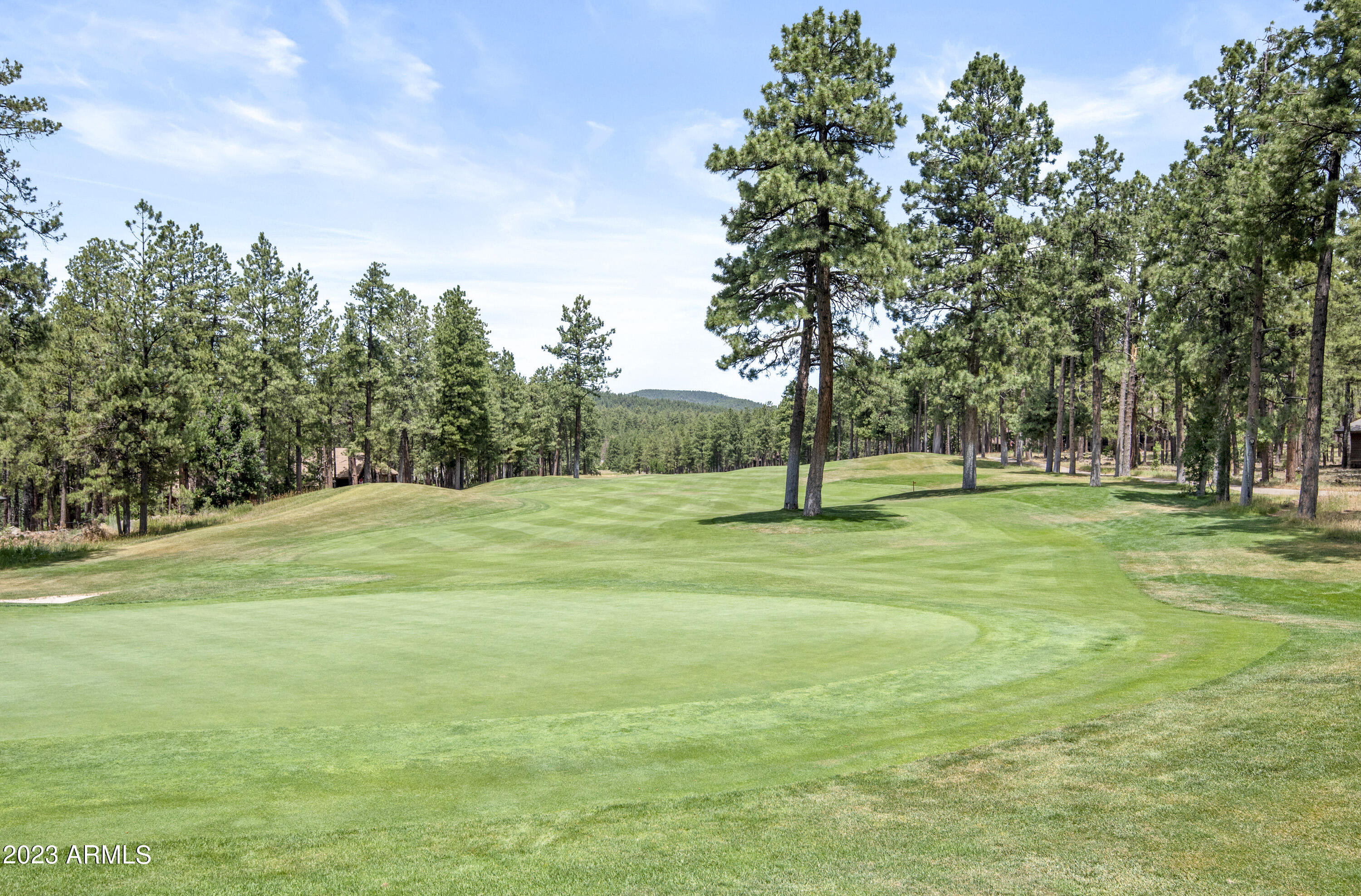 4265 Griffiths Spring Flagstaff, AZ 86005 - Photo 49 of 50 DSC_1202