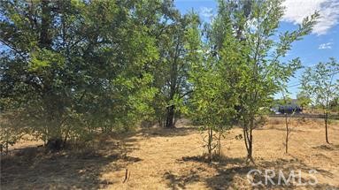 810 Roe Road Paradise, CA 95969 - Photo 5 of 9